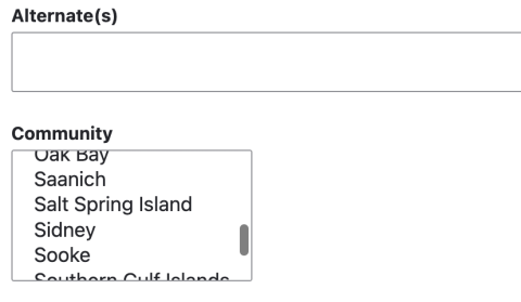 Screenshot showcasing the Community menu in the 'Director' content type.
