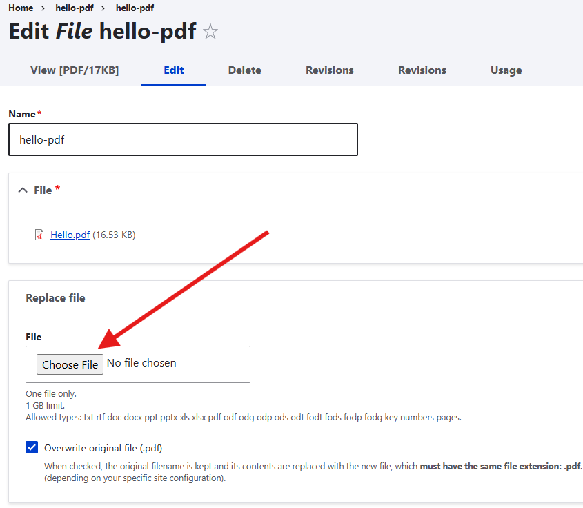 Screenshot of "Choose File" button on the file editing page.
